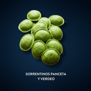 Sorrentinos 12u Congelada - PANCETA Y VERDEO (C/ RICOTA)